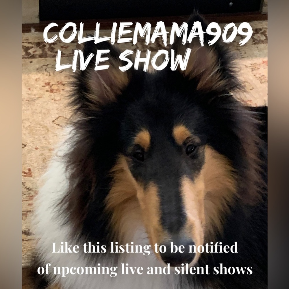 Colliemama909 Live Show Schedule.  ❤️👚👖👕👗🎽🔥